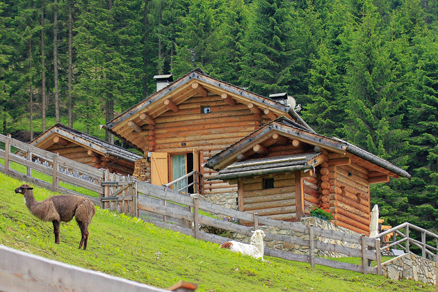 Oblíbenou aktivitou v této krajině jsou horské treky s lamami organizované hotelem