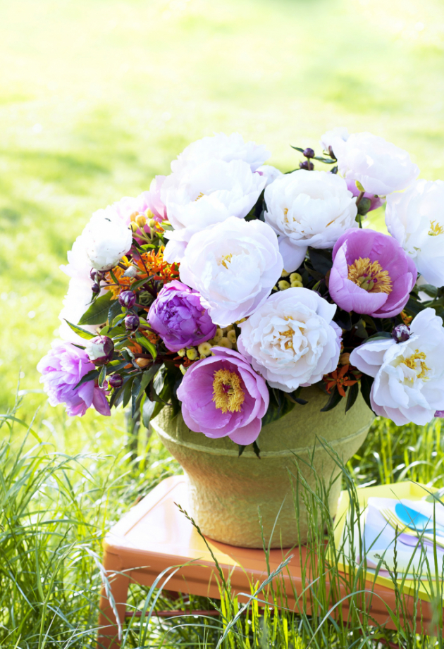Nádherné, bohaté a voňavé květy pivoněk již od nepaměti symbolizují lásku, štěstí, zdraví, bohatství a eleganci. Není tedy divu, že v tomto období jsou vítaným hostem na našich zahradách, ve vázách v našich domovech, ale hlavně na svatbách v podobě svatebních kytic a dekorací... 
