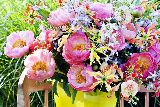Nádherné, bohaté a voňavé květy pivoněk již od nepaměti symbolizují lásku, štěstí, zdraví, bohatství a eleganci. Není tedy divu, že v tomto období jsou vítaným hostem na našich zahradách, ve vázách v našich domovech, ale hlavně na svatbách v podobě svatebních kytic a dekorací... 