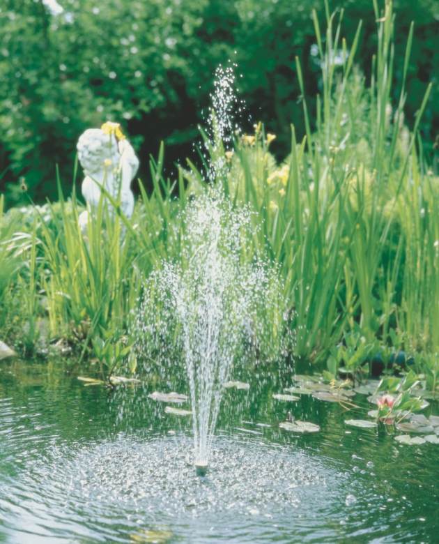 Jezírko se může snadno stát klenotem každé zahrady. Aby vypadalo k světu, je ale potřeba se o něj starat. Bez řádné péče se vodní oáza klidu rychle promění v nevábnou zelenou louži. 