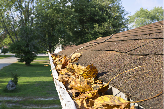 Aby střecha mohla dobře plnit svou funkci při ochraně domu před zimní nepohodou, je třeba ji na podzim důkladně zkontrolovat a všechny defekty hned v zárodku odstranit a vyřešit. 