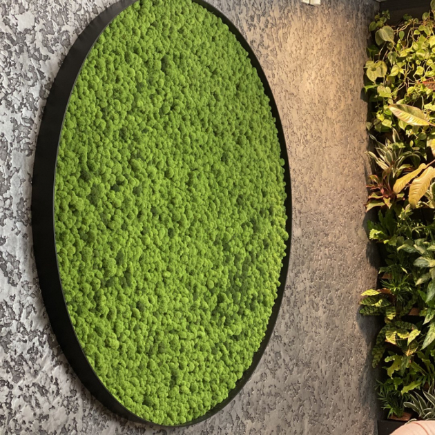 Pohled na svěží, sametově zelené mechové plochy navozuje blahodárný pocit pohody, relaxace a klidu.  (foto: Kateřina Němcová)