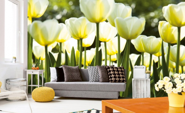 Vliesová fototapeta - bílé tulipány