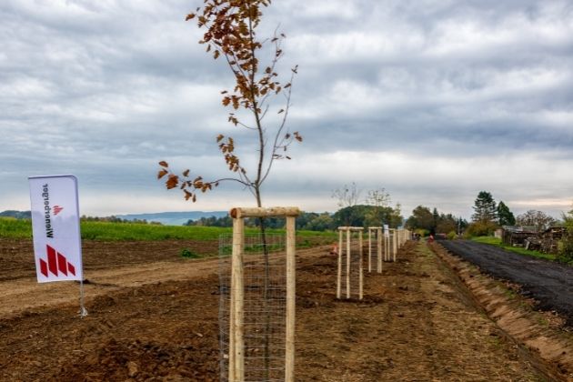 Wienerberger, výrobce cihel Porotherm a pálené střešní krytiny Tondach, slaví v letošním roce jubileum. Dne 22. 10. 2021 je tomu právě 30 let, kdy společnost vstoupila na český trh. U této příležitosti Wienerberger daroval 30 stromů městu Kostelec nad Orlicí. Stromy dne 21. 10. 2021 zasadili zaměstnanci společnosti a vytvořili tak zcela nový cenný krajinný prvek v katastru města.