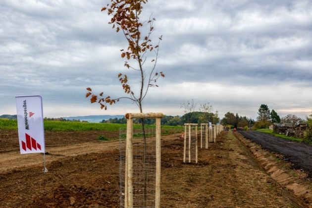 Wienerberger, výrobce cihel Porotherm a pálené střešní krytiny Tondach, slaví v letošním roce jubileum. Dne 22. 10. 2021 je tomu právě 30 let, kdy společnost vstoupila na český trh. U této příležitosti Wienerberger daroval 30 stromů městu Kostelec nad Orlicí. Stromy dne 21. 10. 2021 zasadili zaměstnanci společnosti a vytvořili tak zcela nový cenný krajinný prvek v katastru města. Wienerberger, výrobce cihel Porotherm a pálené střešní krytiny Tondach, slaví v letošním roce jubileum. Dne 22. 10. 2021 je tomu právě 30 let, kdy společnost vstoupila na český trh. U této příležitosti Wienerberger daroval 30 stromů městu Kostelec nad Orlicí. Stromy dne 21. 10. 2021 zasadili zaměstnanci společnosti a vytvořili tak zcela nový cenný krajinný prvek v katastru města.