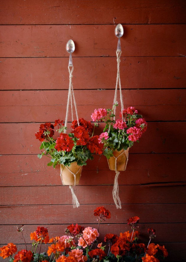 Pelargonium for europe macrame diy