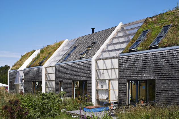 Střechy plné zeleně