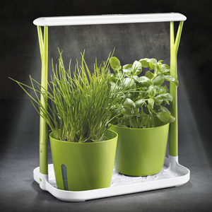 Chytrá pěstírna bylinek SENSE s LED osvětlením, plast, 20,5 × 32,5 × 34,5 cm, cena 1 199 Kč,