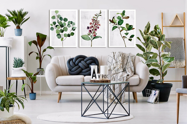 Obrazy na plátně Plants III. s motivem rostlin, 50 × 70 cm, cena 2 199 Kč / 3 ks