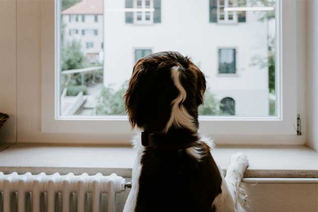 Jak fungují termostatické hlavice a jak vybrat tu správnou?