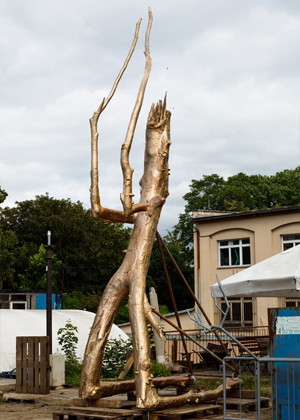 Praying Wood