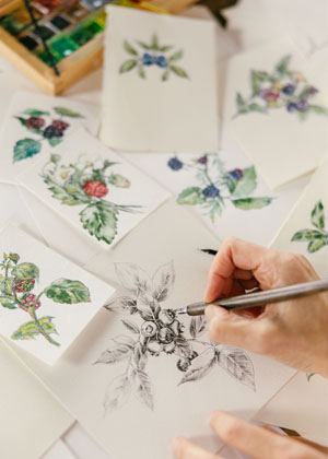 Berinky (lesní směs)