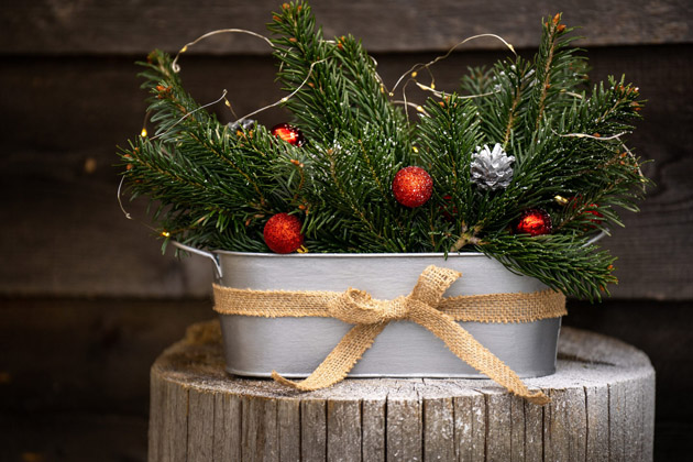 Jak oživit parapet v zimě? Vytvořte si zimní truhlík!