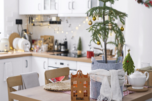 Vánoční stromeček v květináči