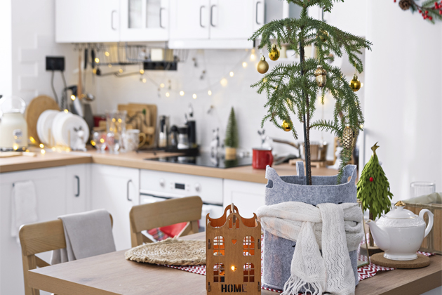 Vánoční stromeček v květináči