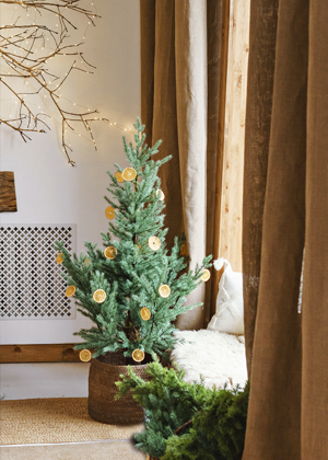 V&aacute;nočn&iacute; stromeček v květin&aacute;či