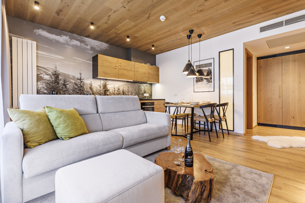 Srdcem apartm&aacute;nů je ob&yacute;v&aacute;k spojen&yacute; s&nbsp;kuchyn&iacute; a&nbsp;j&iacute;delnou, kde si lze něco uvařit v&nbsp;plnohodnotn&eacute; kuchyni, občerstvit se u&nbsp;dřevěn&eacute;ho j&iacute;deln&iacute;ho stolu i&nbsp;relaxovat na&nbsp;sedačce