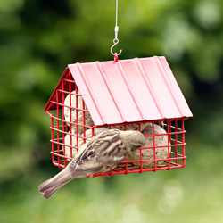 Ptač&iacute; krm&iacute;tko Cottage Red bylo př&iacute;mo stvořeno pro um&iacute;stěn&iacute; lojov&yacute;ch koul&iacute;, cena 899 Kč