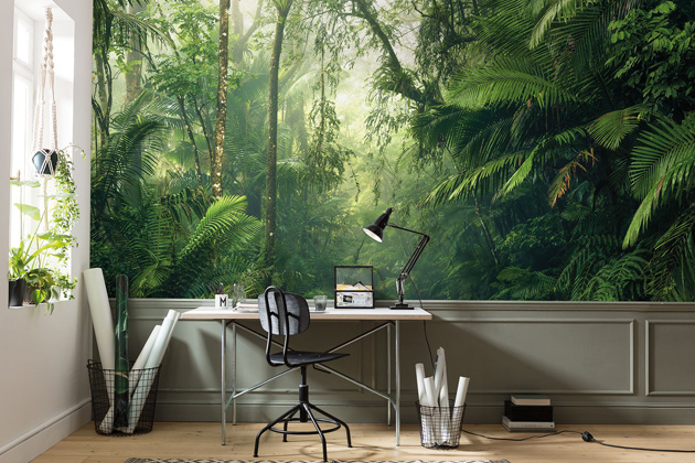 Pětid&iacute;ln&aacute; vliesov&aacute; fototapeta Tropenwelten, 500 &times; 250 cm, cena 5 999 Kč