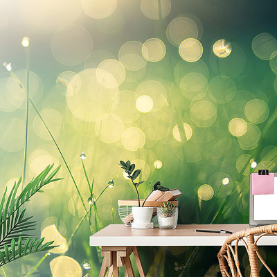 Vliesov&aacute; tapeta Rann&iacute; rosa, v&iacute;ce rozměrů od 150 &times; 100 až 450 &times; 300 cm, cena od 999 Kč