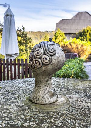 B&aacute;ra Nesvadbov&aacute;: Domov mezi knihami