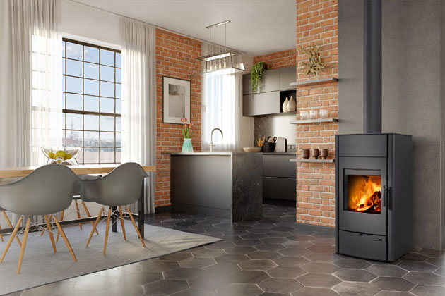 Krbov&aacute; kamna Espera s&nbsp;teplovodn&iacute;m v&yacute;měn&iacute;kem o&nbsp;objemu 28&nbsp;l a&nbsp;dvojit&yacute;m prosklen&iacute;m dv&iacute;řek, disponuj&iacute; syst&eacute;mem CPV &ndash; centr&aacute;ln&iacute; př&iacute;vod extern&iacute;ho vzduchu, cena 53&nbsp;330&thinsp;Kč