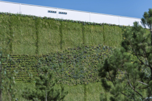 Jedna z největších vertikálních zahrad v Evropě