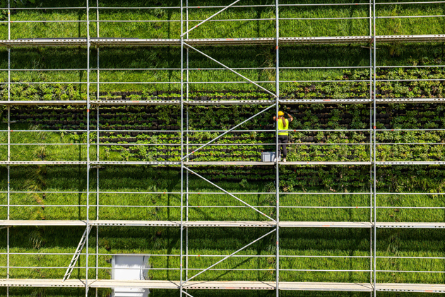 Jedna z největ&scaron;&iacute;ch vertik&aacute;ln&iacute;ch zahrad v Evropě