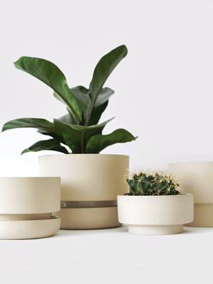 Květin&aacute;če Z&aacute;horkov&aacute;