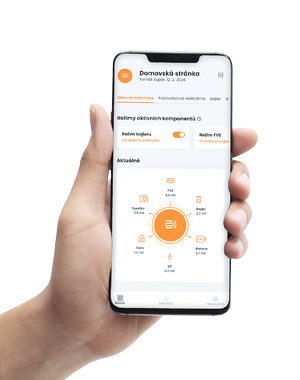 S v&yacute;hledem do budoucna