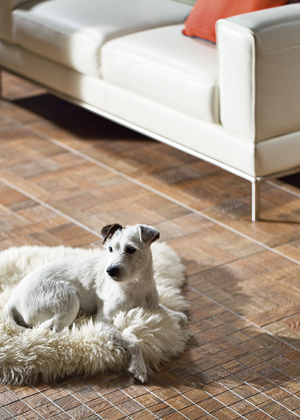 Červenohněd&aacute; slinut&aacute; dlaždice z kolekce Era s matn&yacute;m povrchem, 45 &times; 45 cm, cena 649 Kč/m2