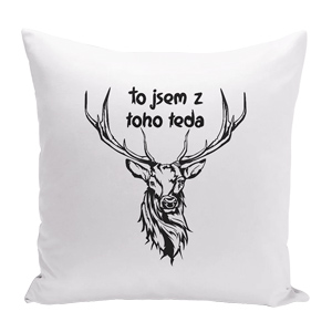 Dekoračn&iacute; pol&scaron;t&aacute;ř 100% polyester, zip, 40 &times; 40 cm, cena 359 Kč, www.frendys.cz 