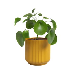 Keramick&yacute; květin&aacute;č Luna, &Oslash; 19 cm, cena 449 Kč