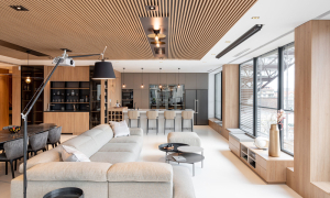 Profesionálním propojením dvou prostorů vzniklo prémiové a elegantní bydlení