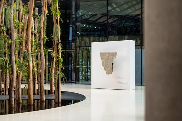 Step from Darkness: Citlivost jako tvůrč&iacute; s&iacute;la Miroslavy Klesalov&eacute;