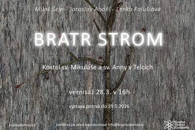 Výstava Bratr strom