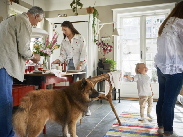 Průzkum IKEA: Češi tráví u večeře jen 24 minut. Jak životní tempo proměňuje naše vztahy a stolování?