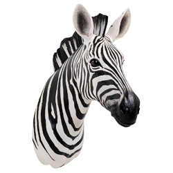 N&aacute;stěnn&aacute; dekorace Zebra z polyresinu, 33 &times; 78 cm, cena 17 190 Kč,