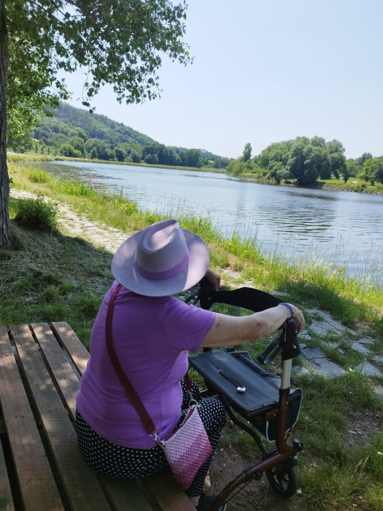 Prvn&iacute; pomoc pro nejmen&scaron;&iacute;, m&eacute;ně osaměl&yacute;ch seniorů, podpora nov&yacute;ch pedagogů nebo lok&aacute;lně sd&iacute;len&aacute; elektřina. Čtyři projekty, čtyři různ&eacute; př&iacute;běhy. Kter&yacute; z nich z&iacute;sk&aacute; nejv&iacute;ce hlasů veřejnosti?